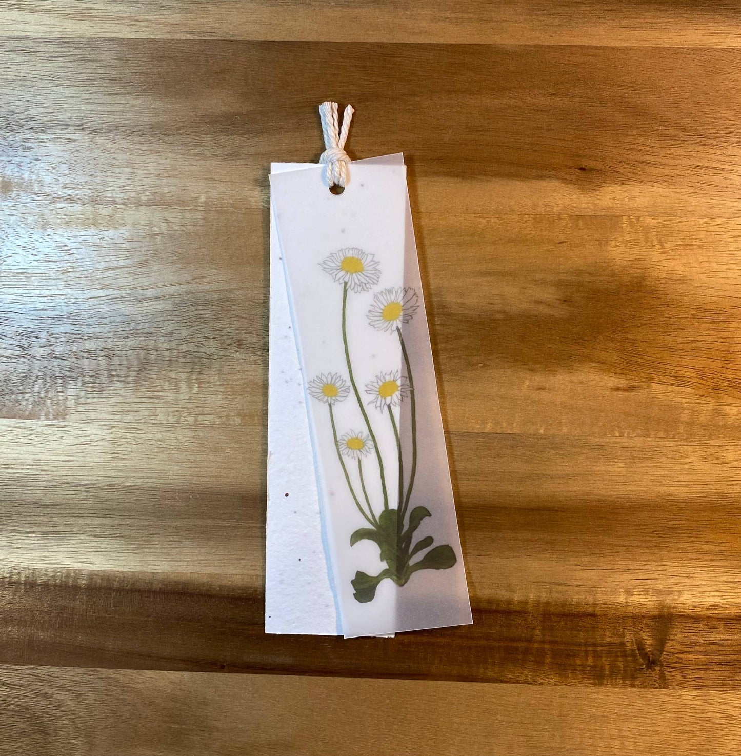 Plantable Bookmark | Eco Bookmark | English Daisy | 2 in 1