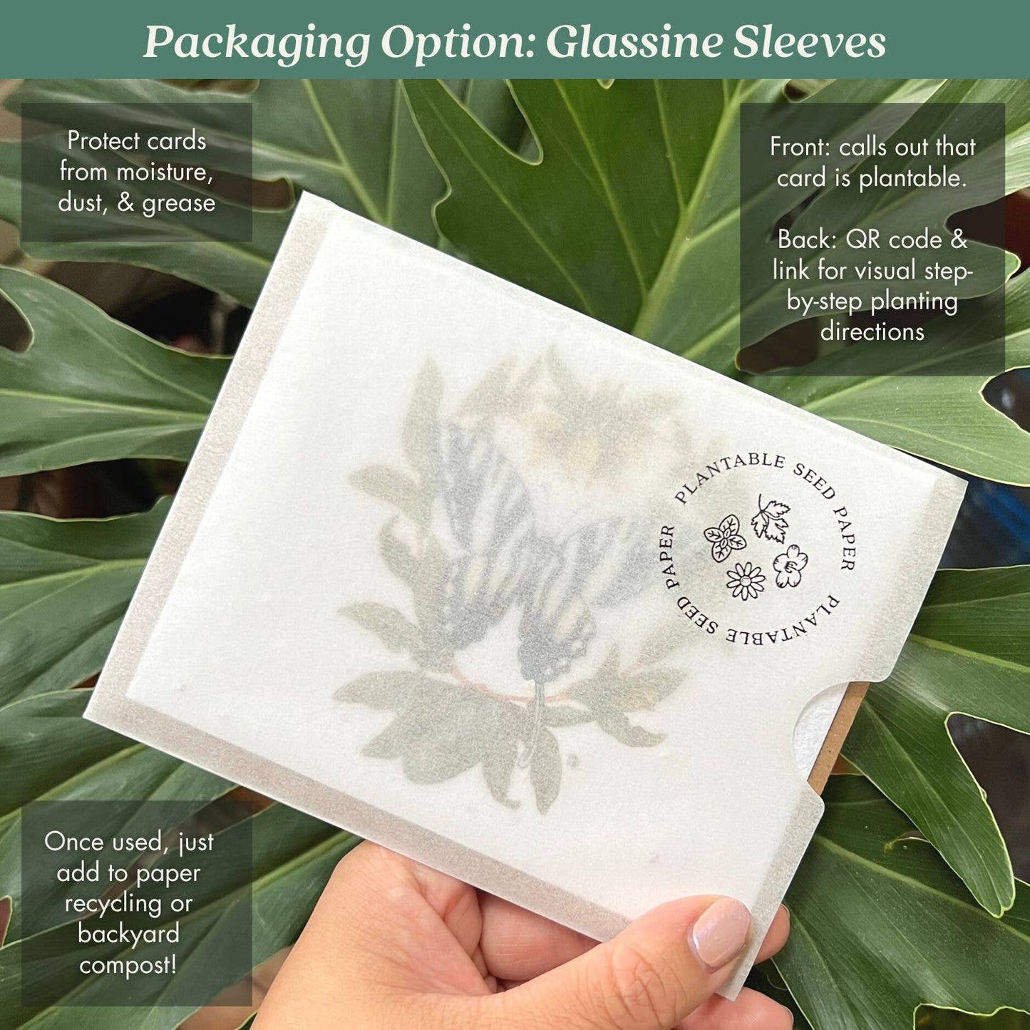 Lavender Plantable Wildflower Seed Card: Glassine Sleeves