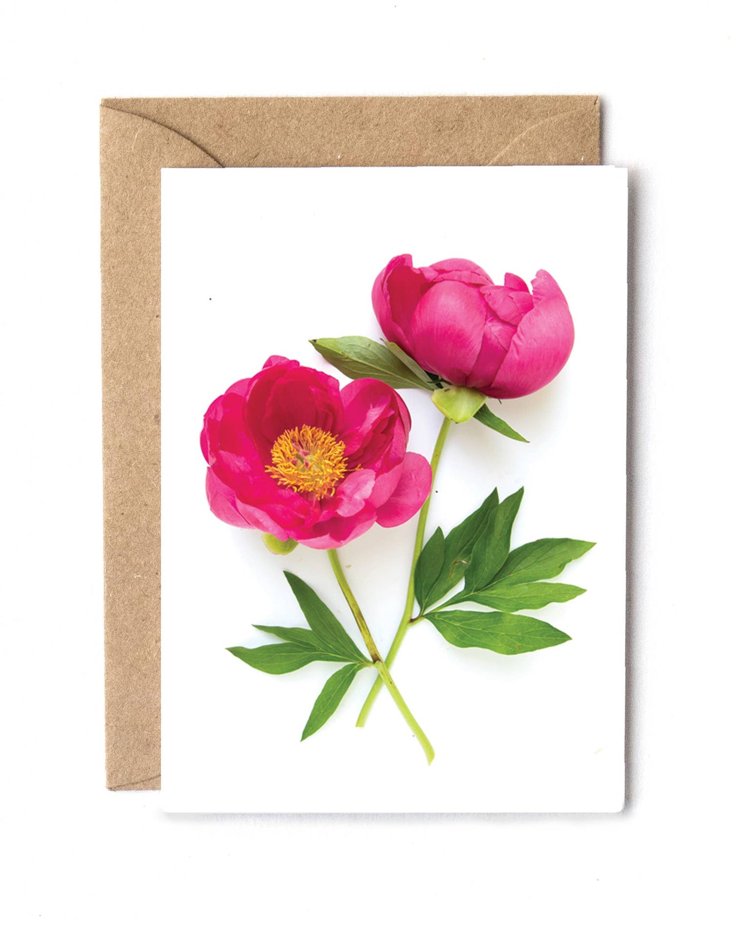 Enclosure card - Double Peony