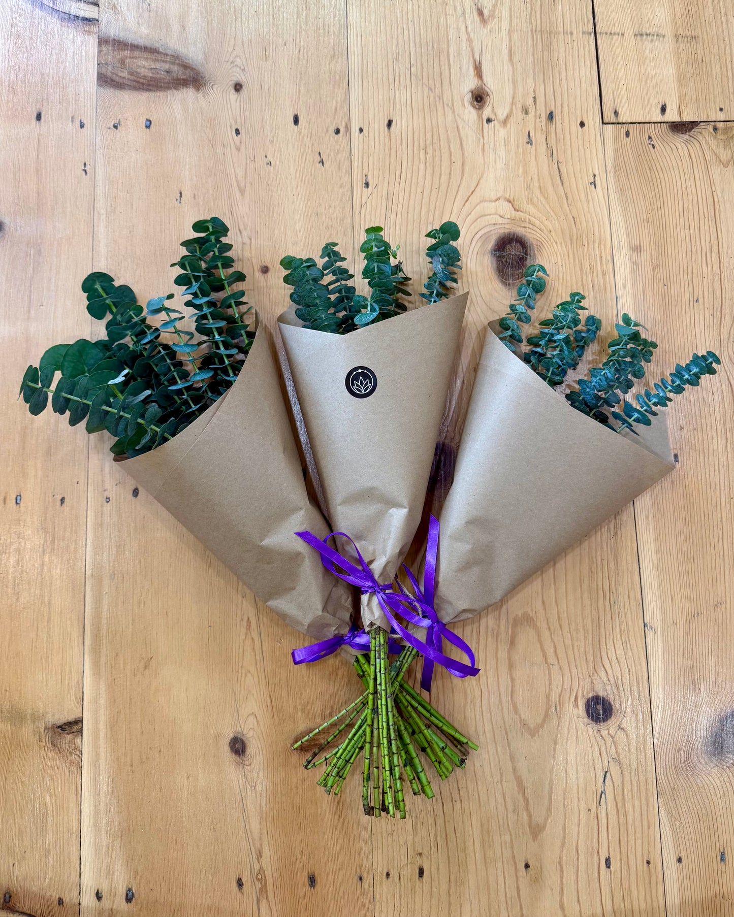 Eucalyptus Shower Bundle
