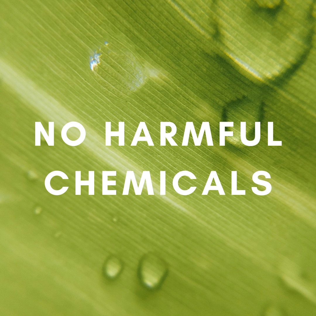 15 ml Clarysage Lavender Aroma Blend