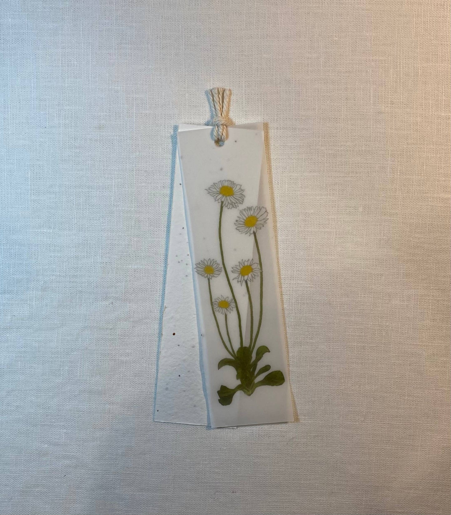 Plantable Bookmark | Eco Bookmark | English Daisy | 2 in 1