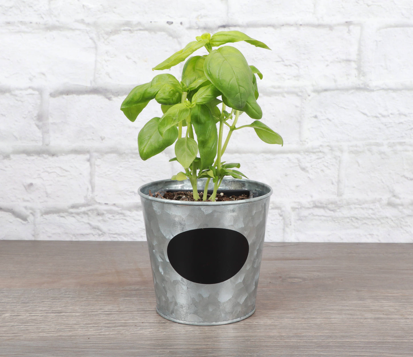 4" Metal Pot Cover with Chalkboard Decal for Houseplants