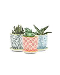 Liberte Porcelain Pot with Saucer 3.25"