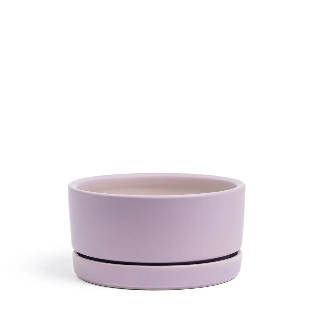 4.5" Low-Bowls with Water Saucers