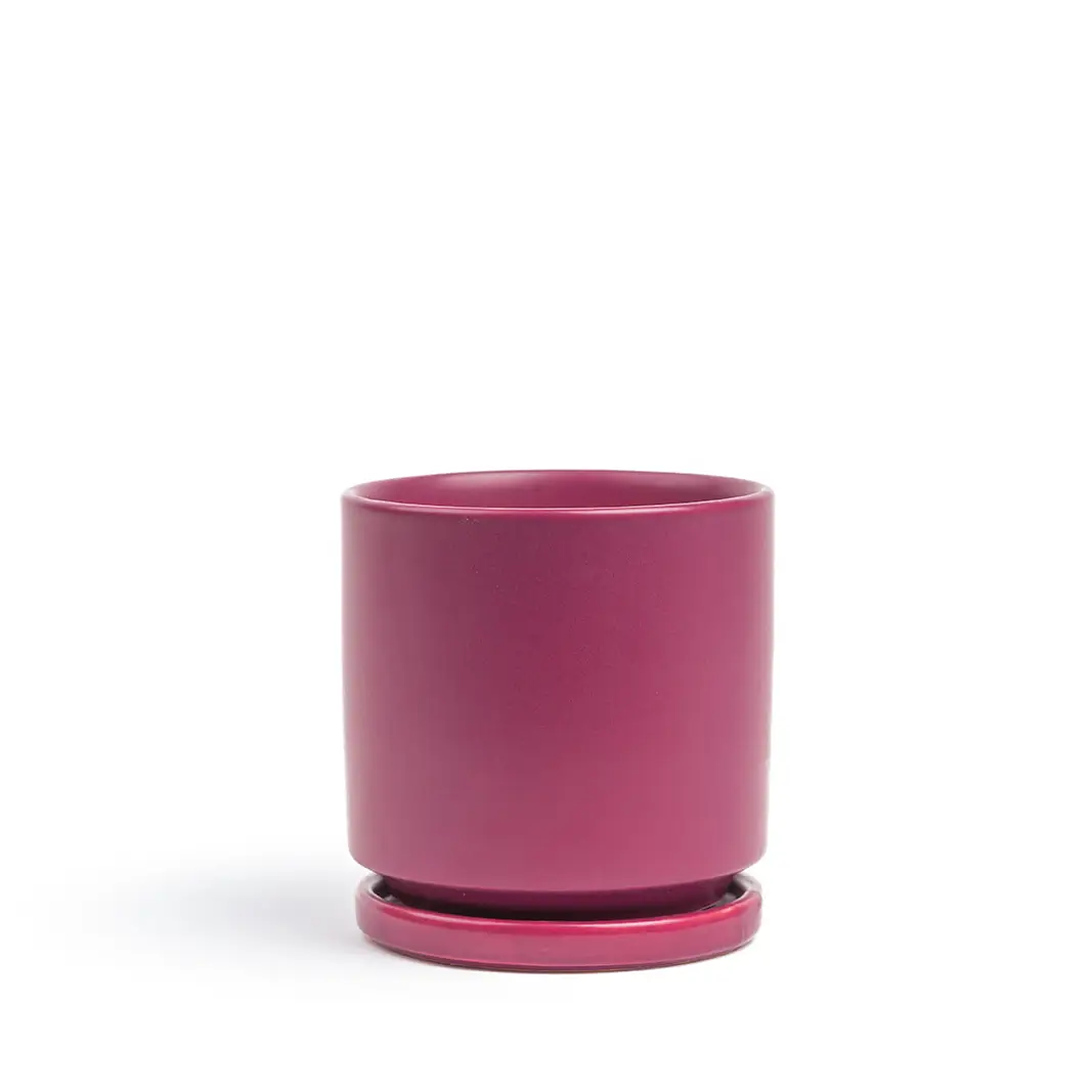 10.5" Cylinder Pots with Water Saucers