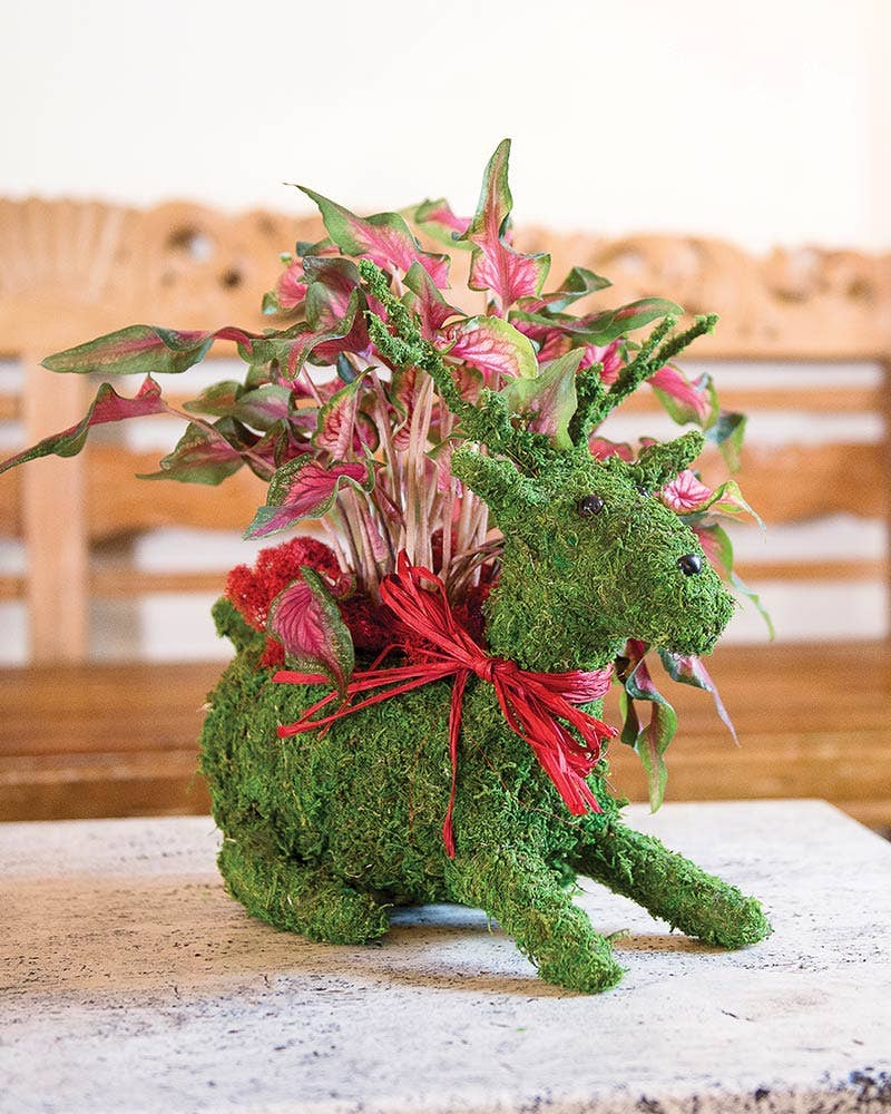 Reindeer Planter: Fresh Green