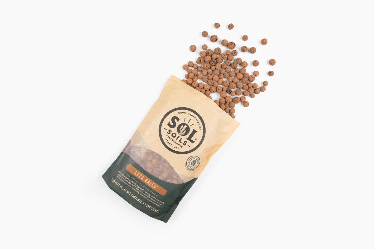LECA Balls: 2 Quarts