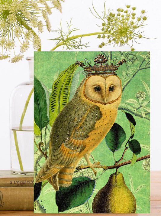 Owl Blank Greeting Card