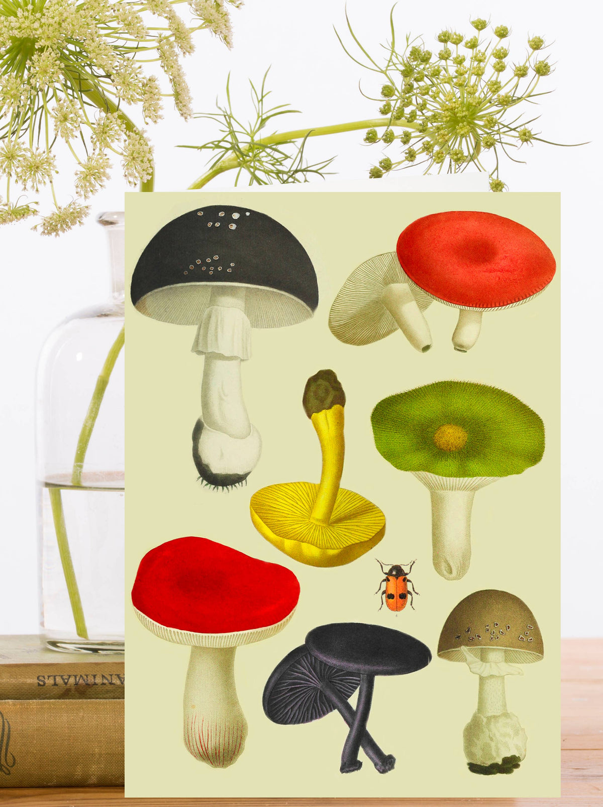 Mushroom Collective Greeting Card