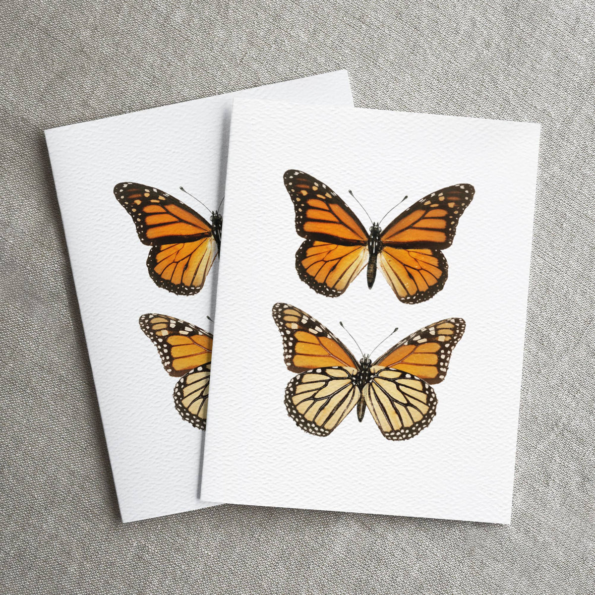 Vintage Monarch Butterfly Card