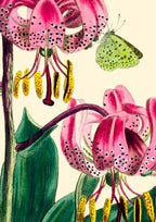 Big No. 2 Greeting Card