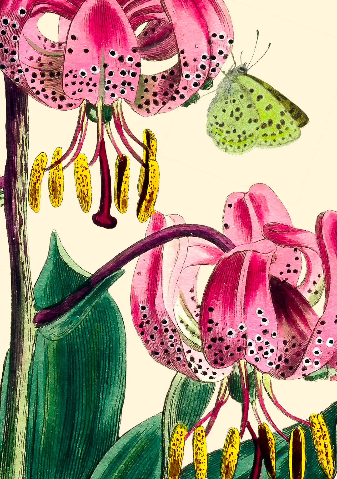 Big No. 2 Greeting Card