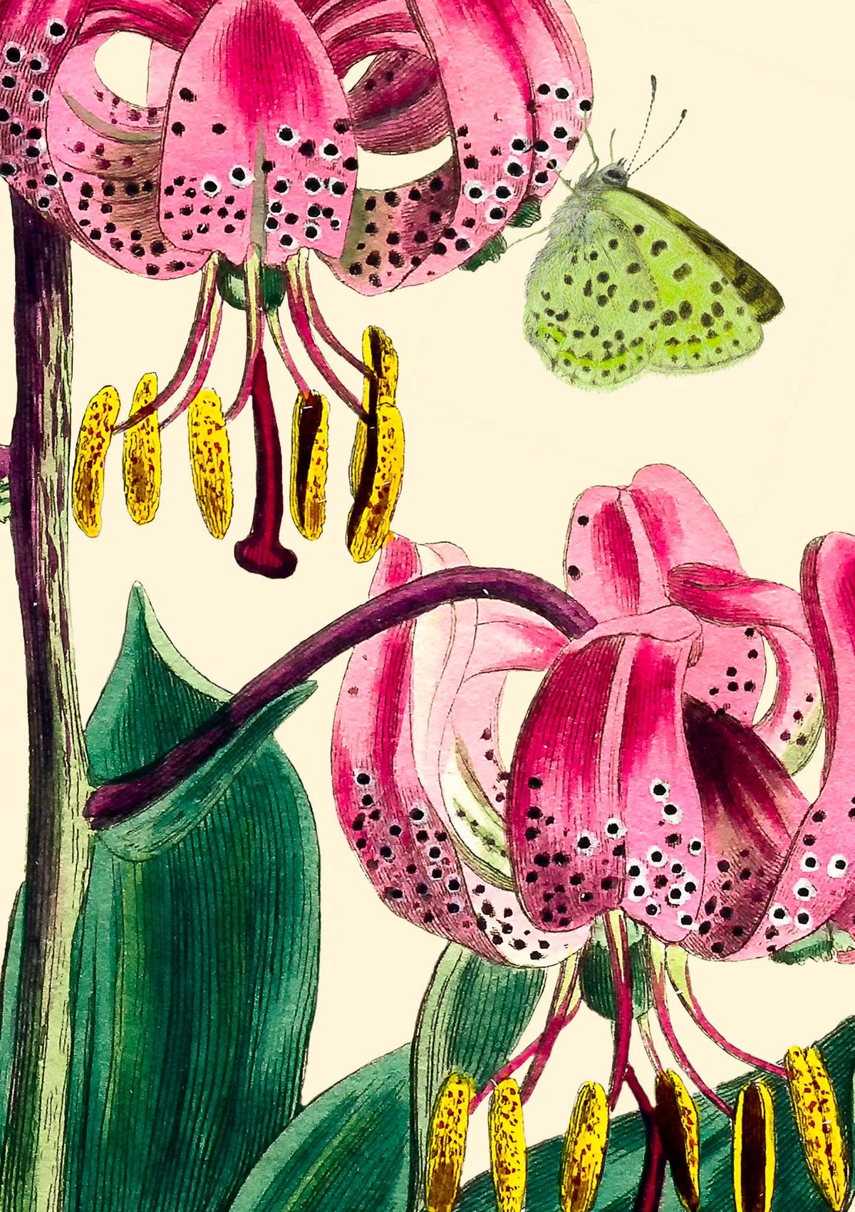 Big No. 2 Greeting Card