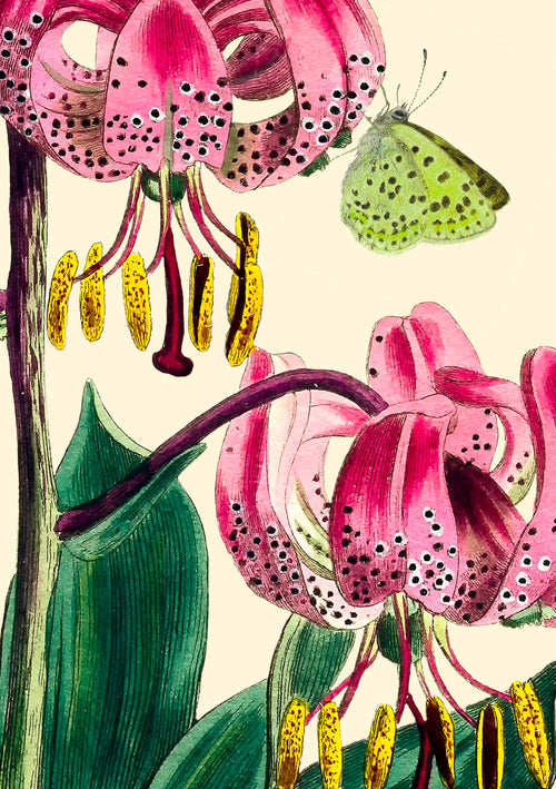 Big No. 2 Greeting Card