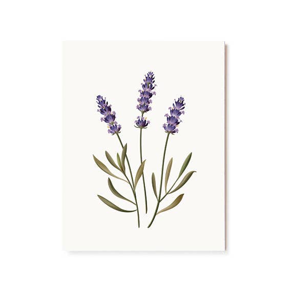 Botanical Scented Card - Lavender