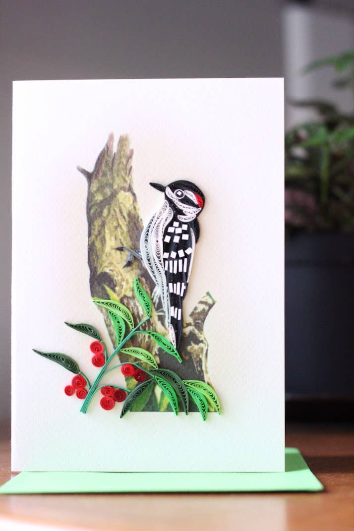 Downy Woodpecker