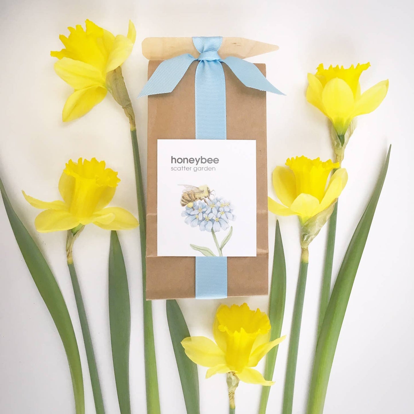 Greeting Card | Honeybee | Pollinator | Best Seller: 4.25" x 5.5"