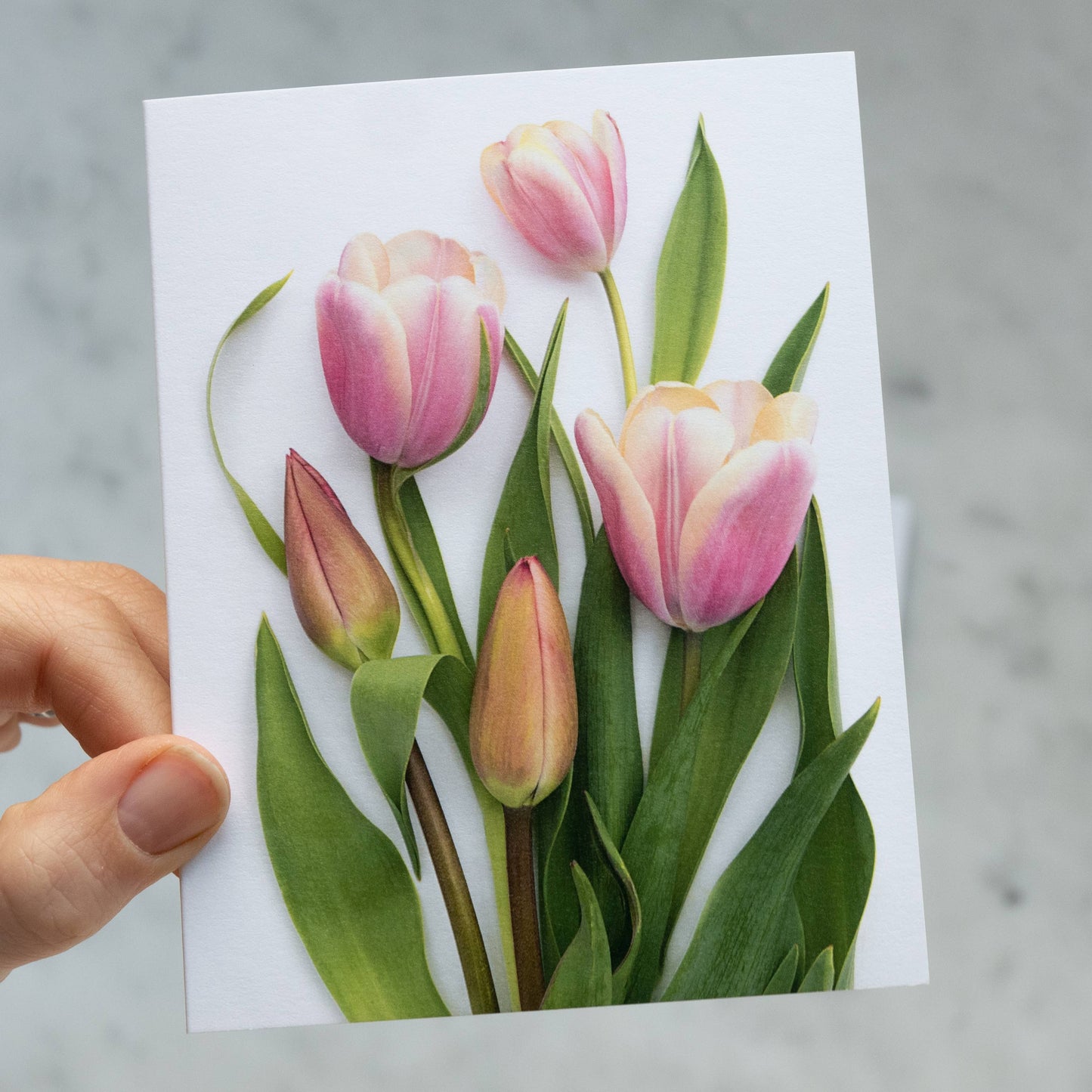 Card - Pink Tulips