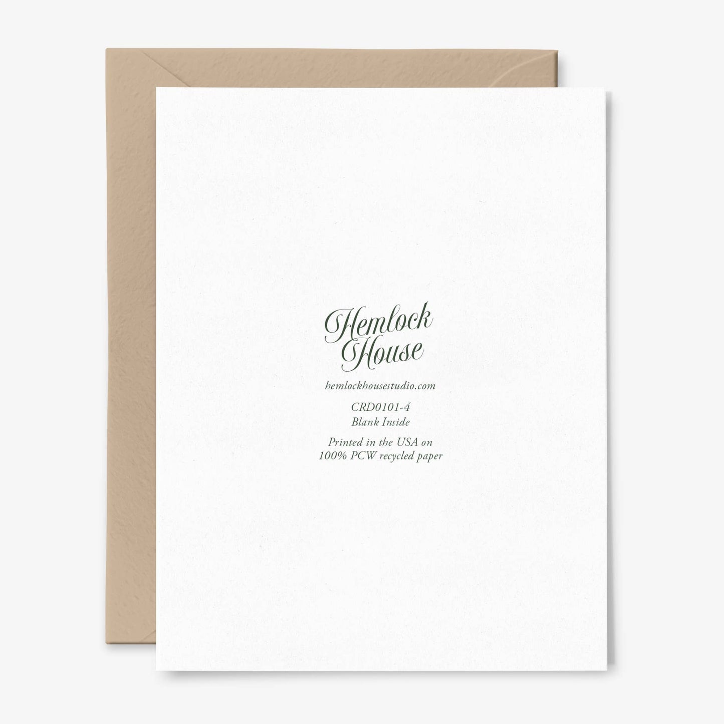 Make A Wish Dandelion Card | Vintage Floral | Botanical Art