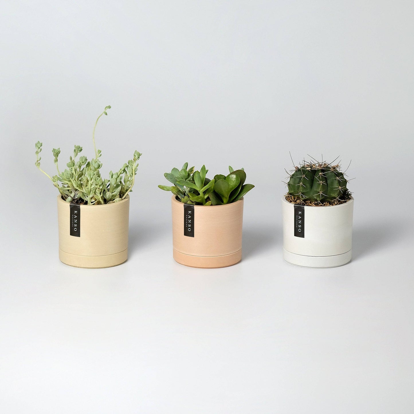 3.5" Earth Tone Mini Planters Tatami Sand
