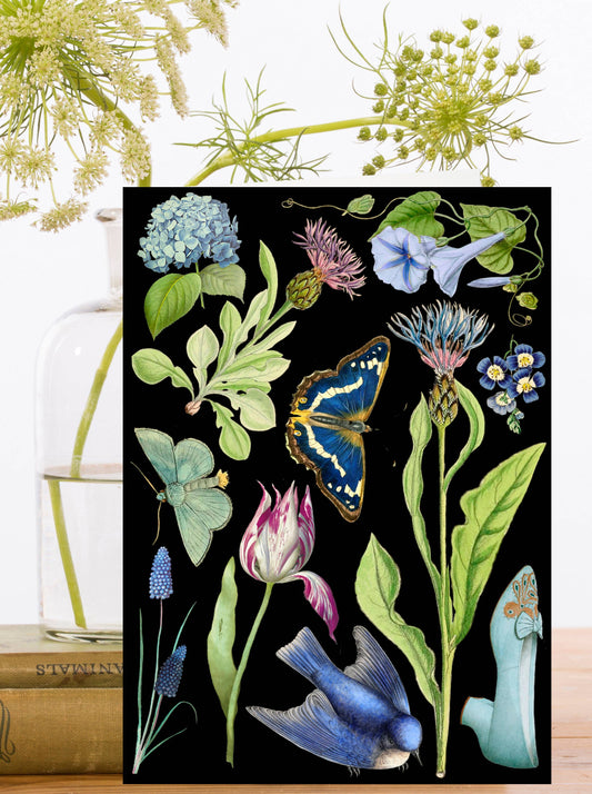 Blank Whimsical  Greeting Card