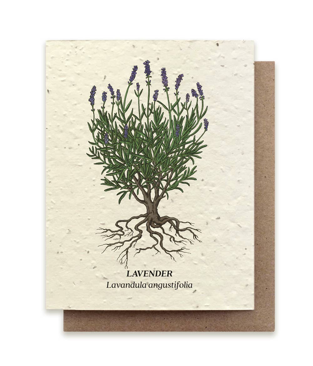 Lavender Plantable Wildflower Seed Card: Glassine Sleeves