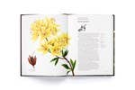 The Story of Flowers