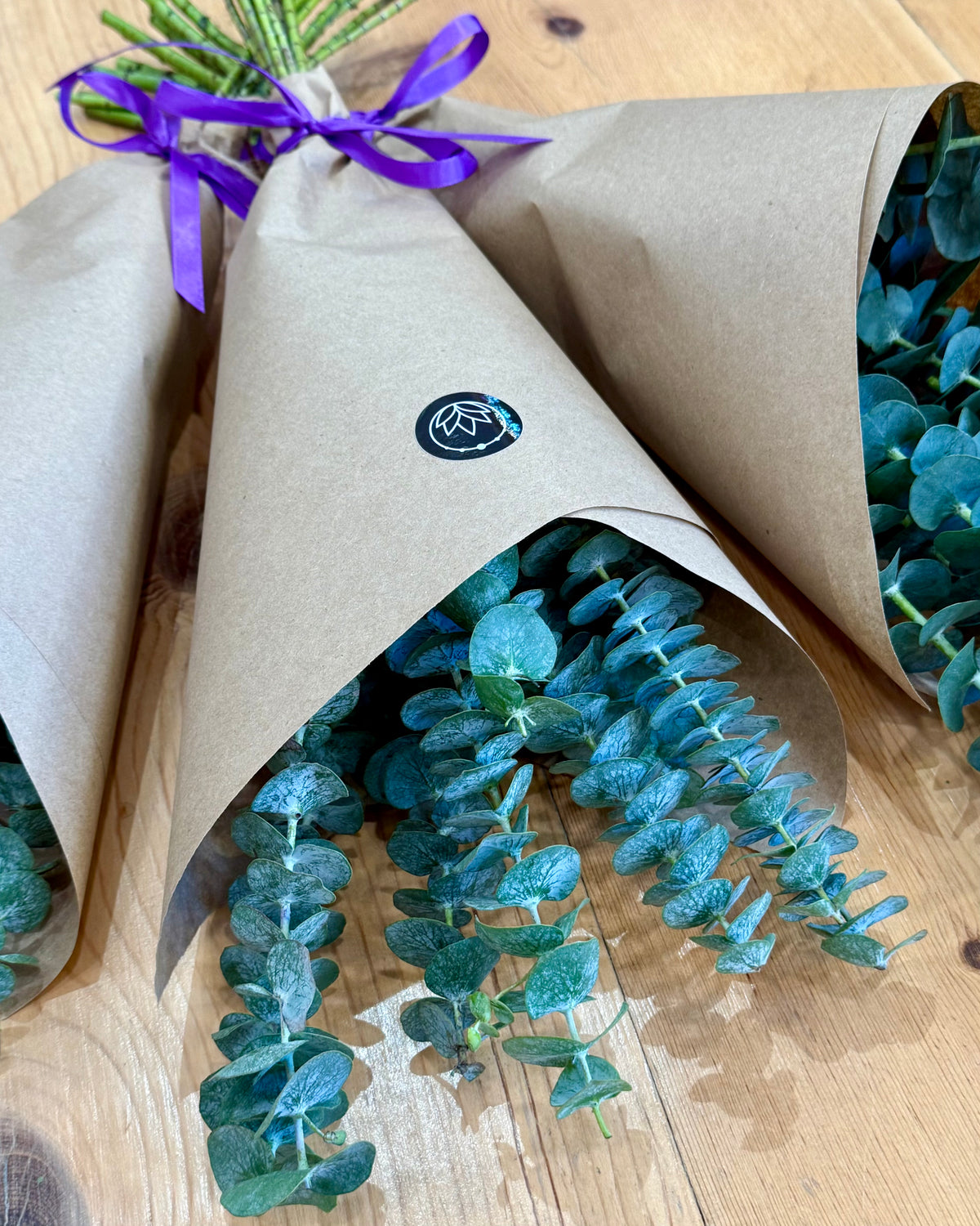 Eucalyptus Shower Bundle