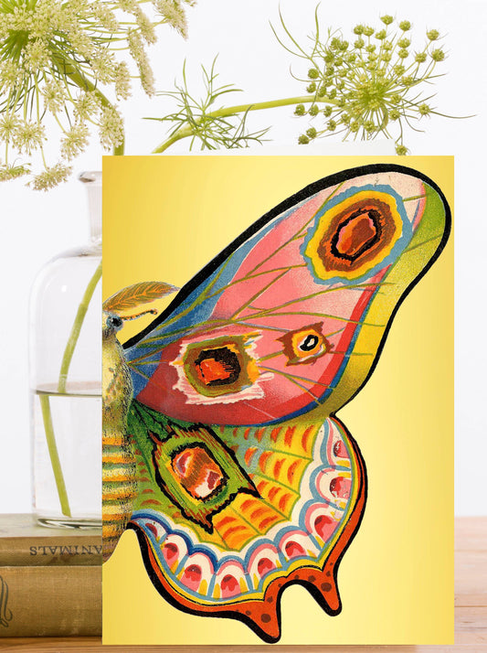 Big Moth Gold Foil Greeting Card