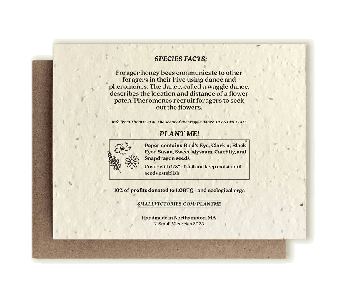 Honey Bee Plantable Wildflower Seed Card: Glassine Sleeves