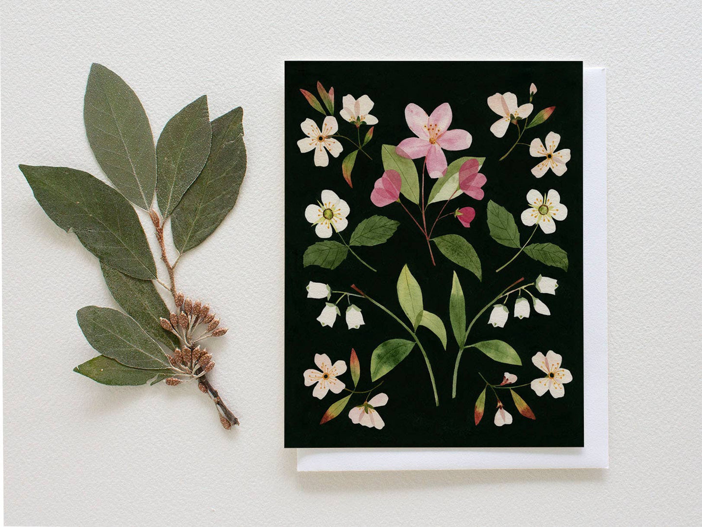 Pressed Fruit Blossoms Greeting Card