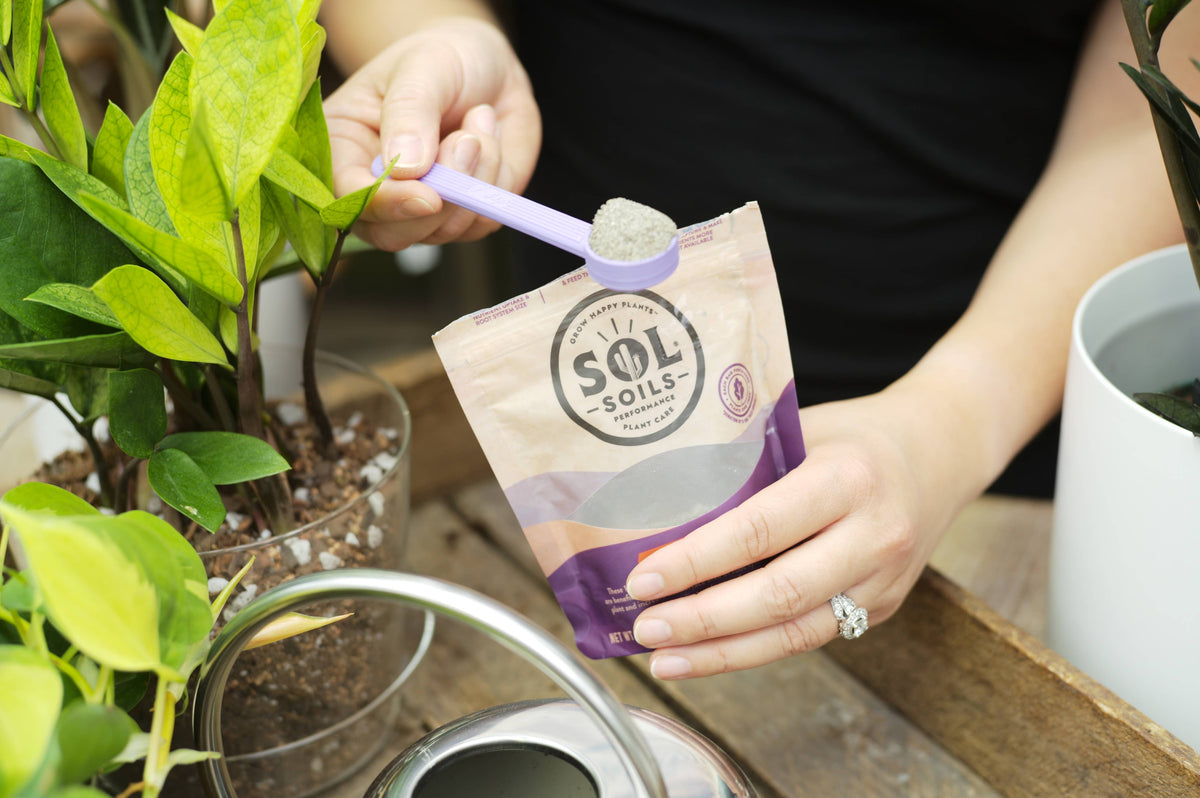 Sol Biotics - Soil Salvation - Worm Castings & Biochar