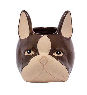 Bull Dog Face Planter