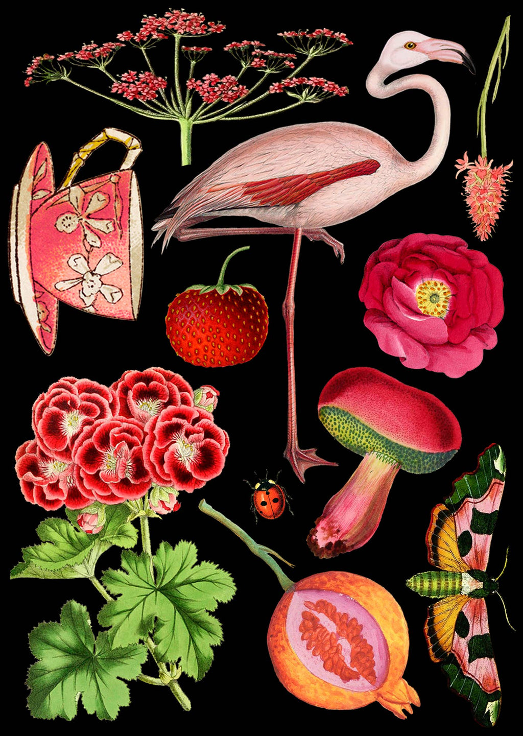 Red & Pink Flamingo Greeting Card