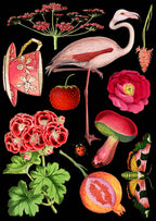 Red & Pink Flamingo Greeting Card