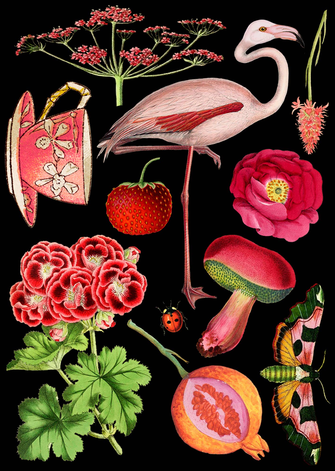Red & Pink Flamingo Greeting Card