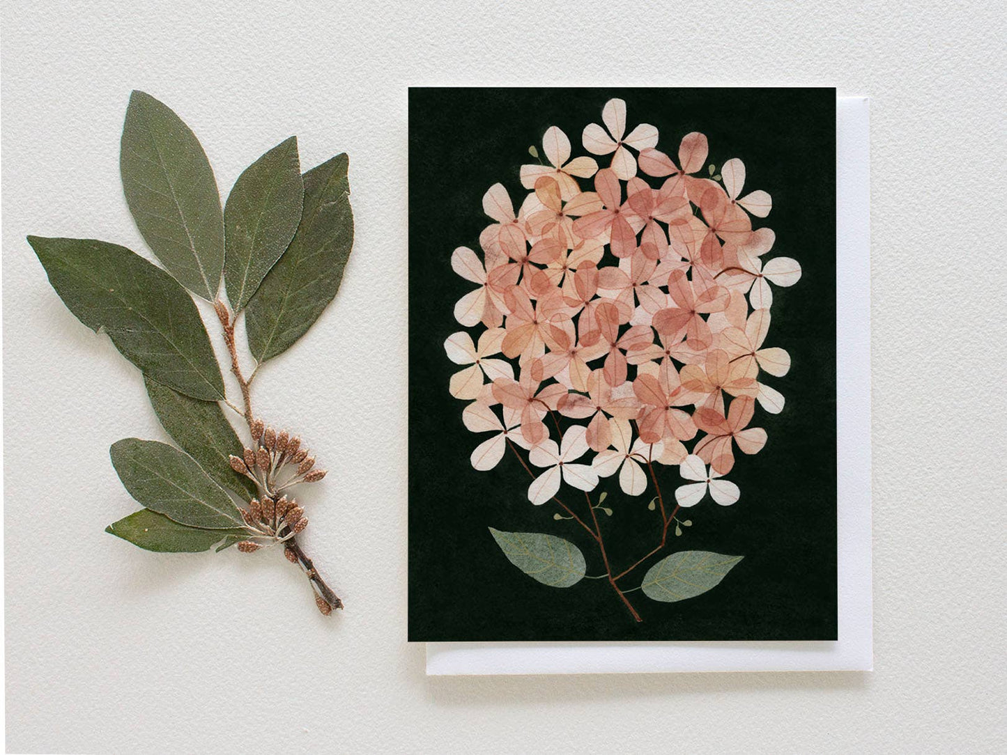 Pressed Hydrangea Greeting Card