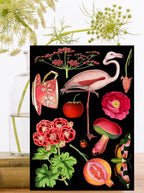 Red & Pink Flamingo Greeting Card