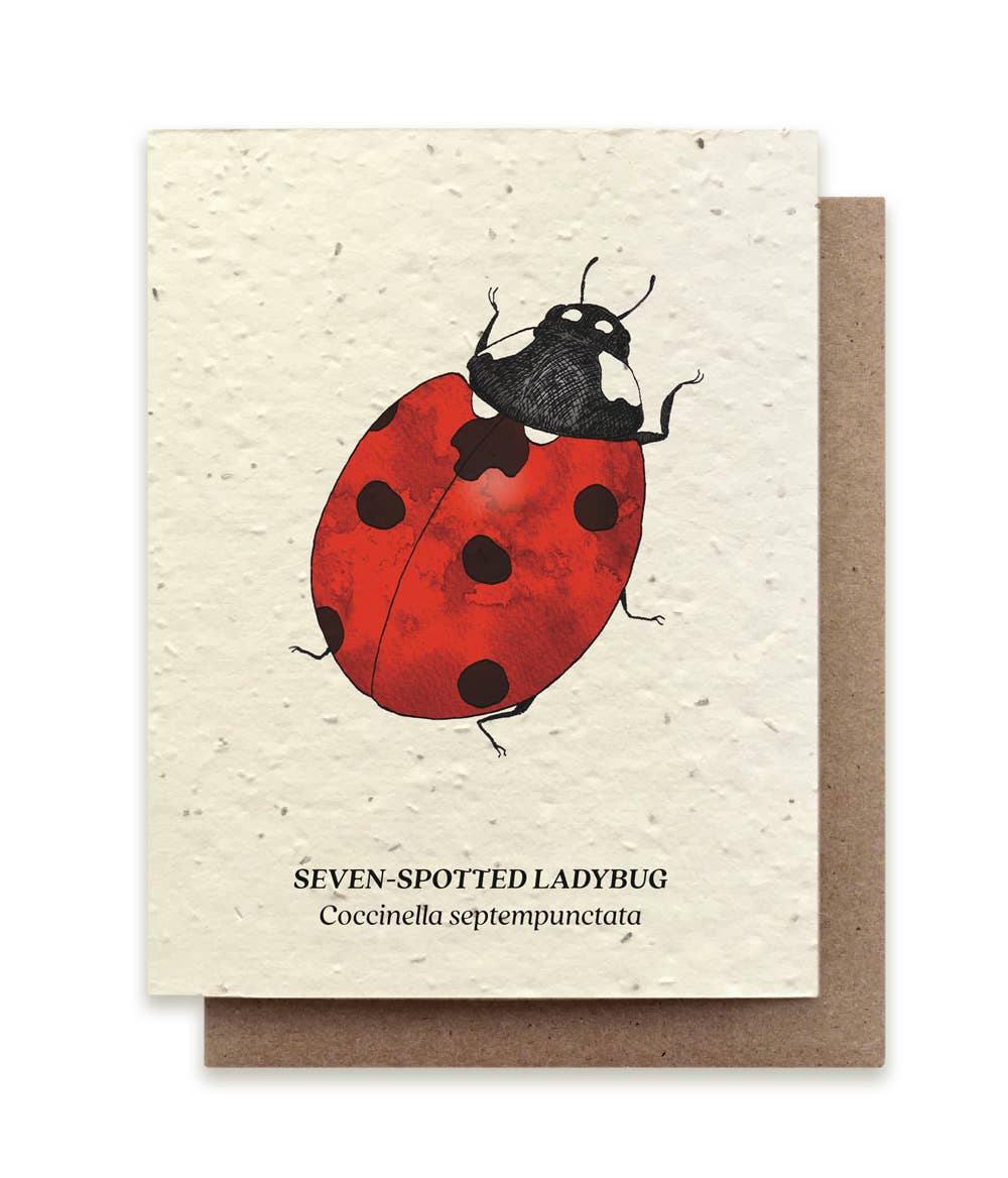 Seven-Spotted Ladybug Plantable Wildflower Seed Card: Glassine Sleeves
