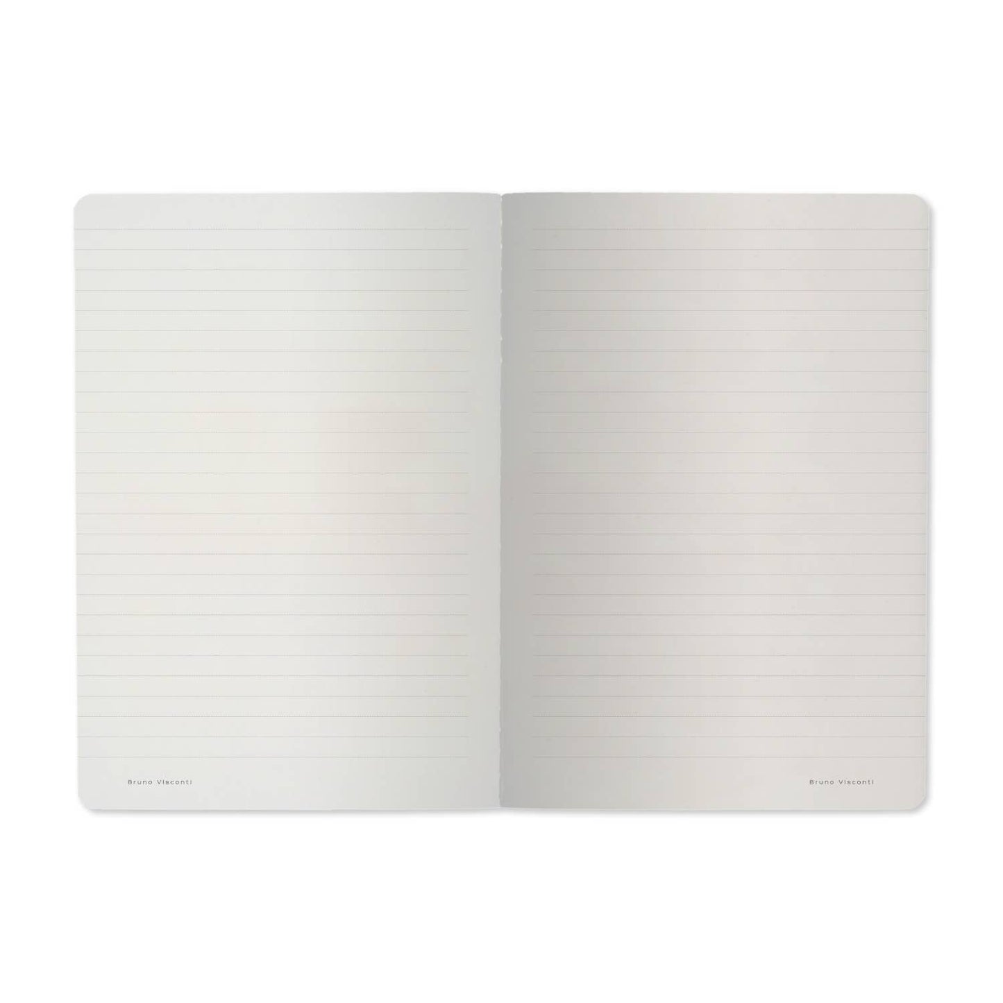 A5 Notebook -  Entomology