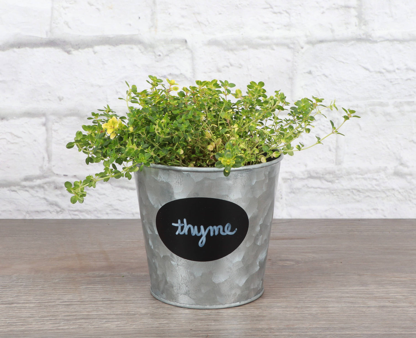 4" Metal Pot Cover with Chalkboard Decal for Houseplants