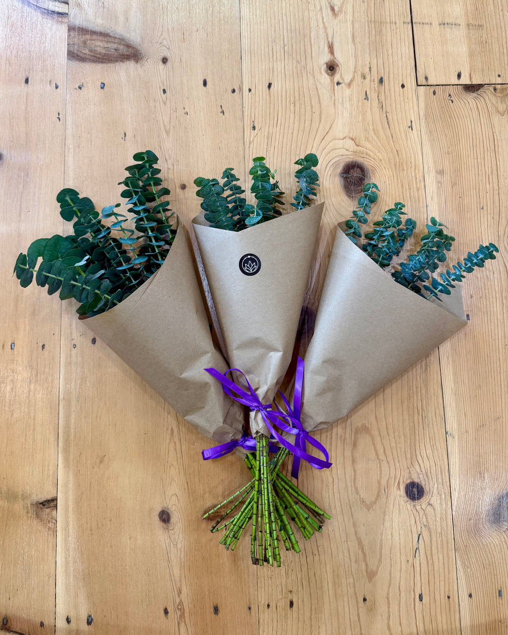 Eucalyptus Shower Bundle
