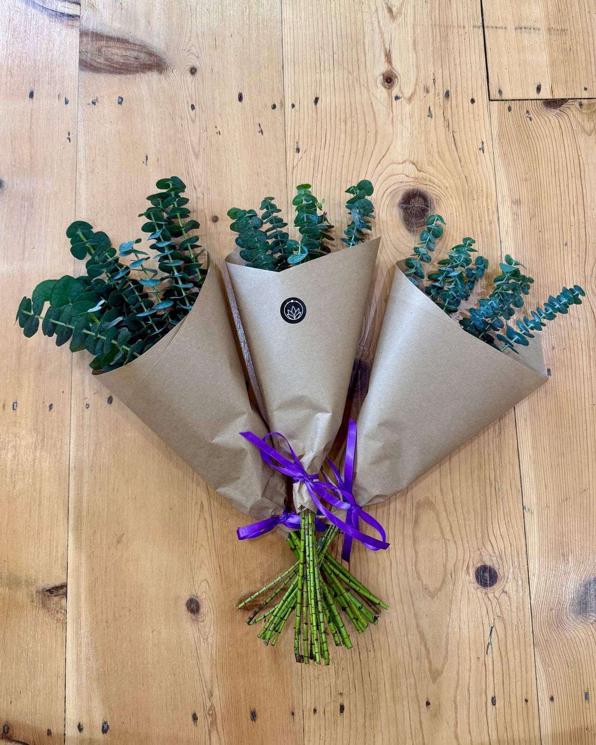 Eucalyptus Shower Bundle