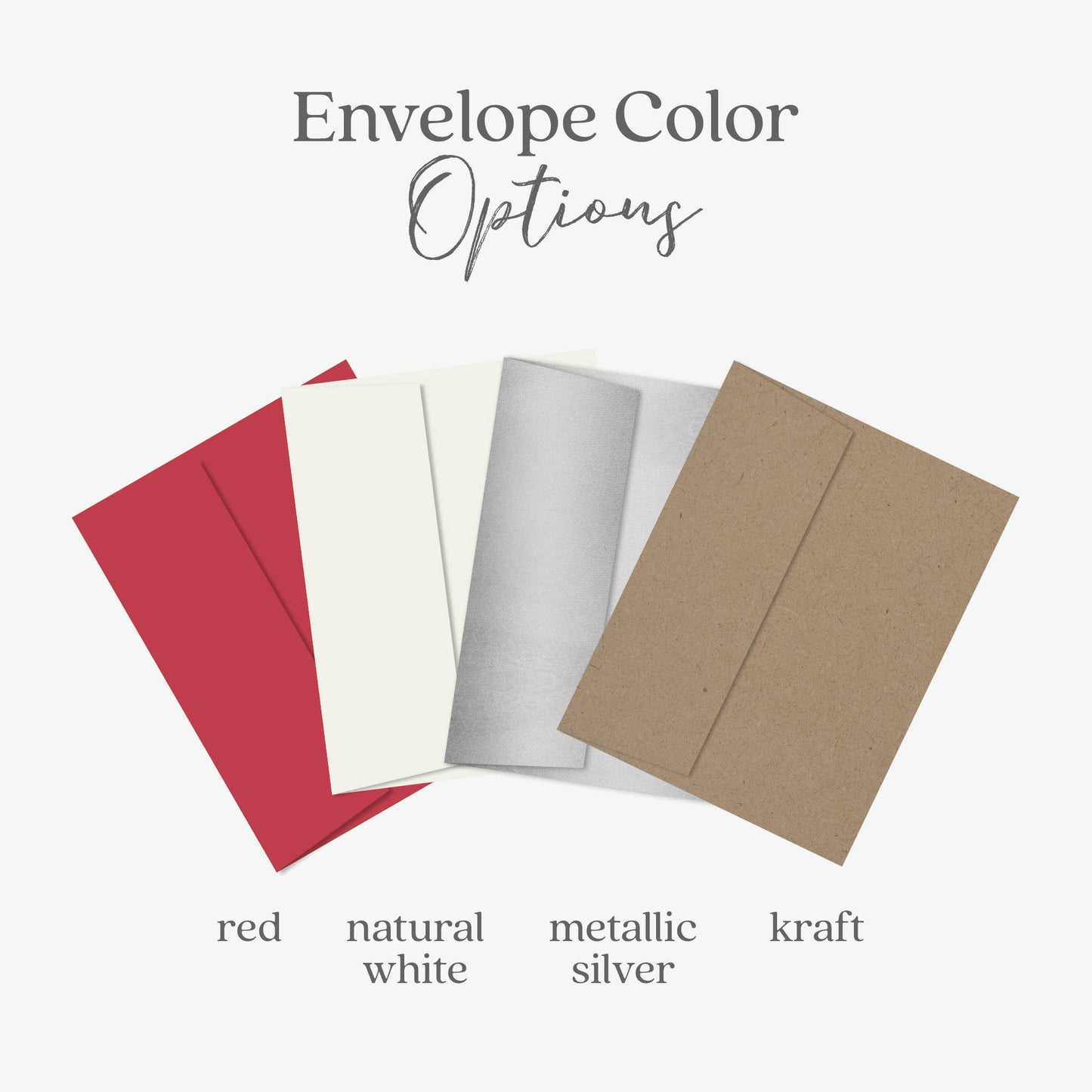 Winter Bird Happy Holidays Card