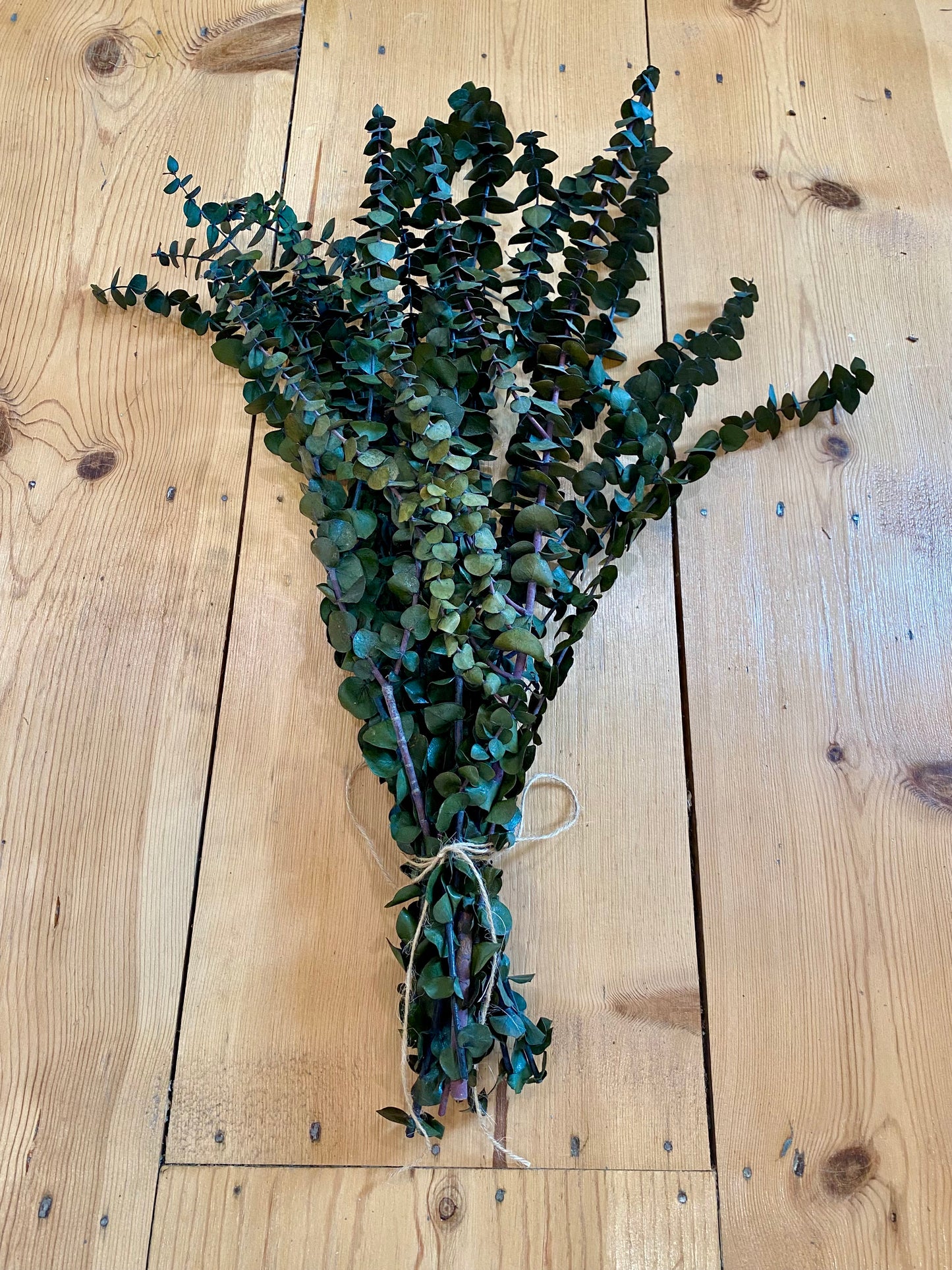 Dried Eucalyptus Bundles