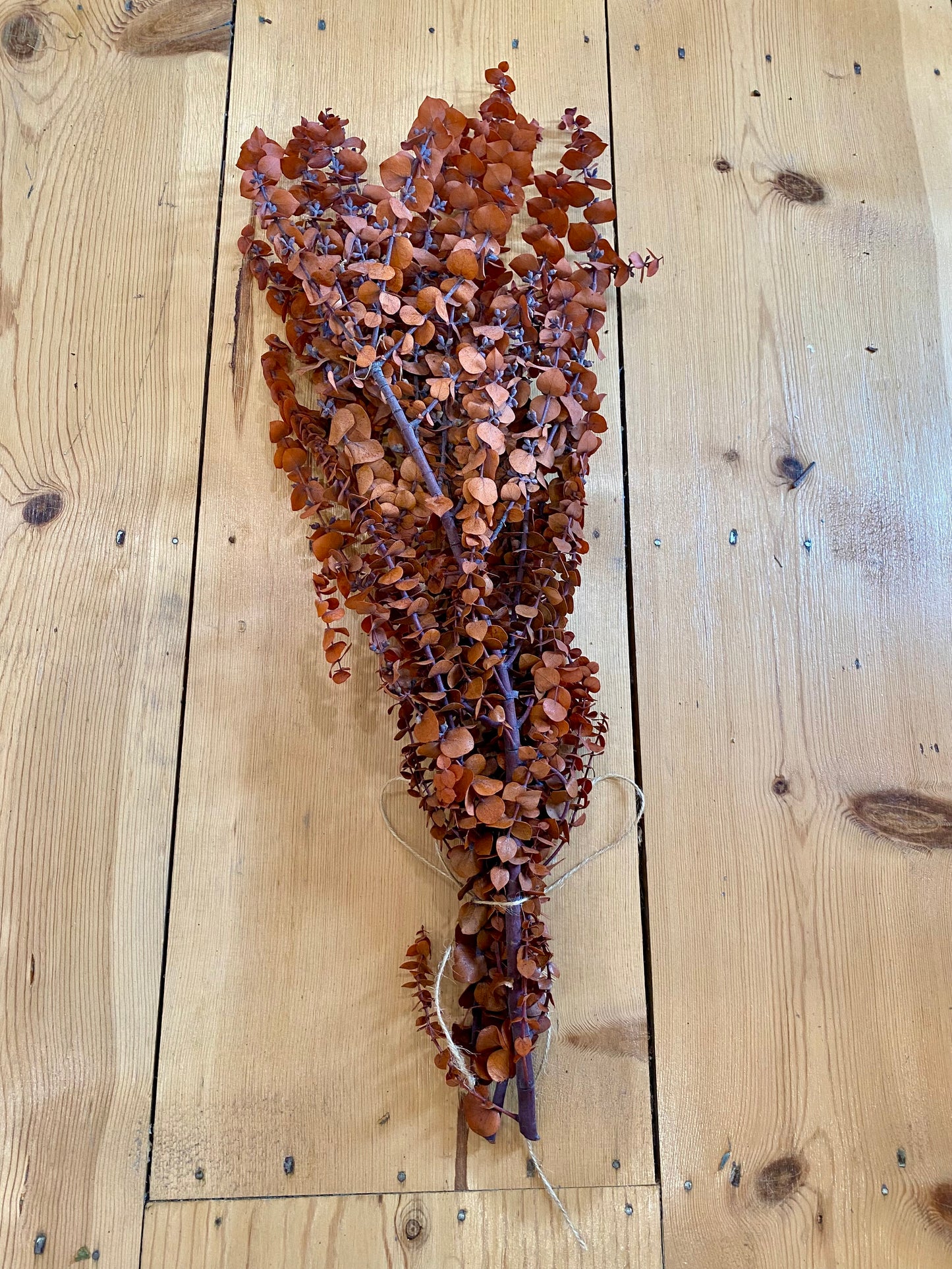 Dried Eucalyptus Bundles