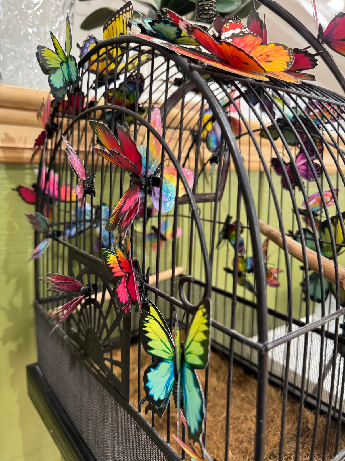 Single Small Decorative Butterfly