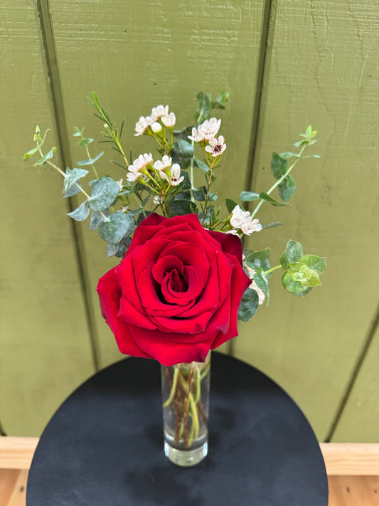 Janice Lou Bouquet - Single Rose Arrangement