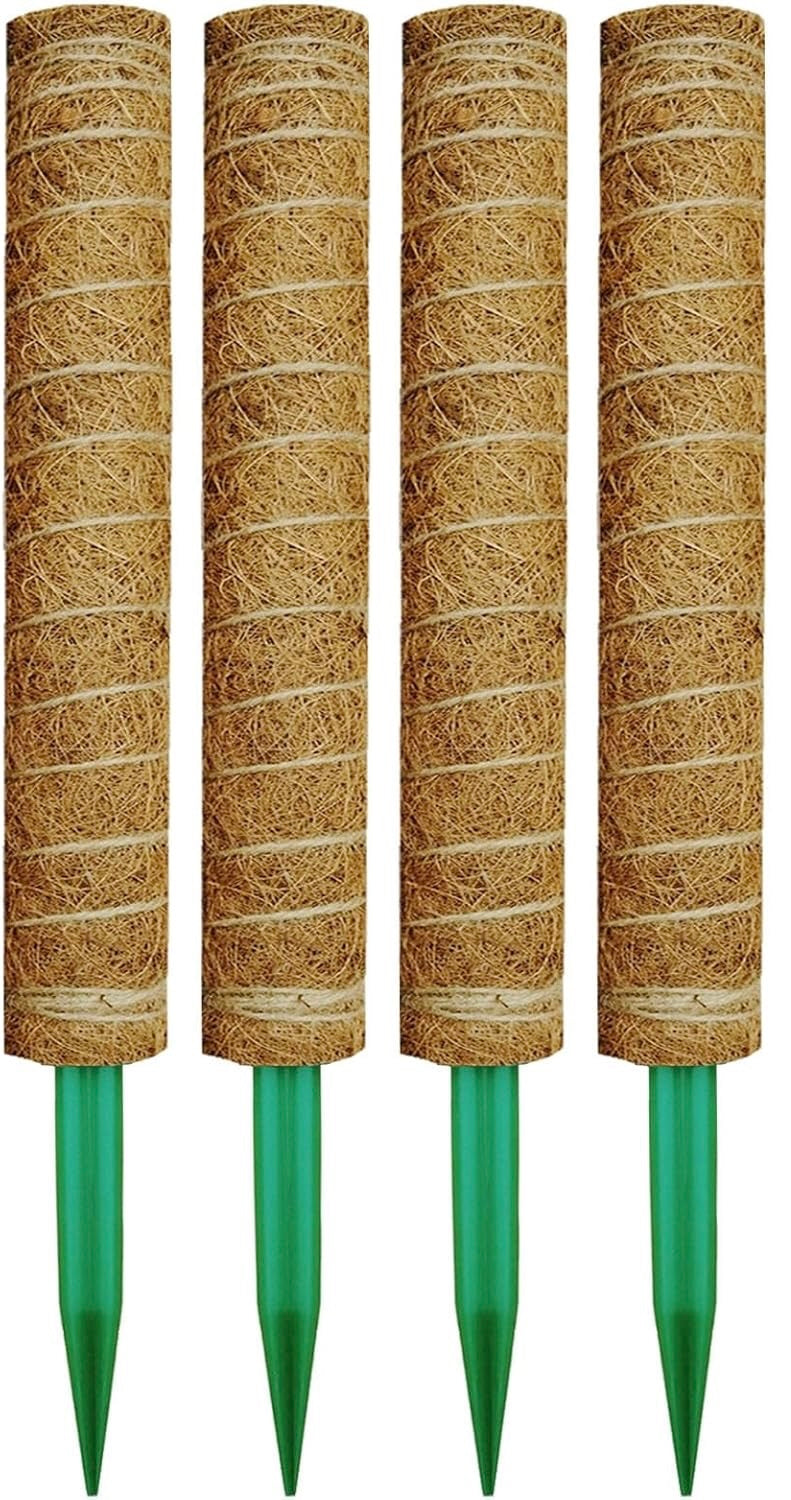 Moss Plant Poles
